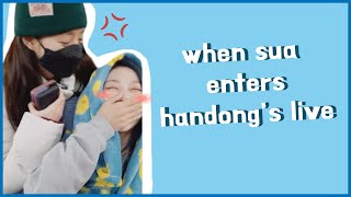 when sua enters handong's live 수아가 한동의 라이브 출현때