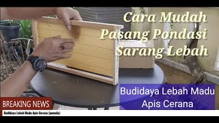 Cara Mudah Memasang Pondasi Sarang Lebah Madu Apis Cerana Part 2