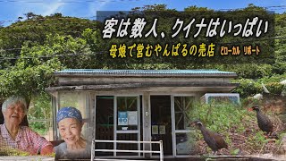 客は数人、でもヤンバルクイナはいっぱい　やんばる国立公園内にある愛される売店