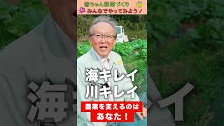 まずはあなたから！【おうちで元気な無農薬野菜を育てよう】 #shorts