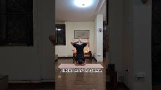 2024.07.09 #pinchamayurasana