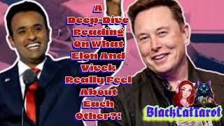 BlackCat Tarot Presents A Deep-Dive  Reading On What Elon And Vivek Actually Feel About Each Other?