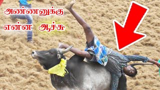 அண்ணனுக்கு என்ன ஆச்சு 😲||பறக்க விடுது 🔥||jallikkattu ||puthukai jallikkattu