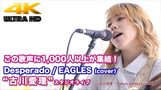 【4K】 この歌声に1000人以上が集結！Desperado / EAGLES（cover）\