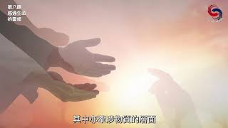 【靈命逆轉365】第228天 愛萬物的情懷 (國語)