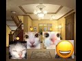 when someone says something different lol cats fypシ゚ funny