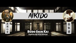 The training mind - Aikido Budoshin Mar del Plata