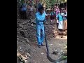 பாம்பு பிடி மன்னன் வா வா சுரேஷ் snake holding expert va va suresh getwellsoon vavasuresh