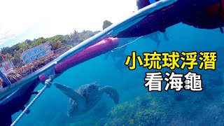 小琉球浮潛看海龜｜花瓶石潛點｜分水鏡實拍