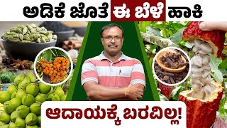 How to grow Arecanut Plant? Integrated Arecanut Farming Details In Kannada | Betel Nut Cultivation