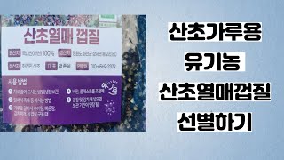 유기농 산초가루 용 산초껍질 선별작업 국내유일 유기농 산초기름 생산하는 화전민산초 산초박