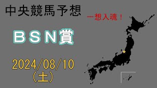 中央競馬予想　2024/8/10　新潟11R [BSN賞]