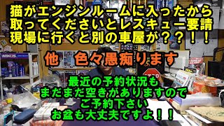 猫がエンジンルームに入ったと言われレスキューに行きました　もう解決したと言われましたが別の車屋がいました？？　嫌な話　変な客　　変な電話　値引　クレーマー　モンスター　レスキュー　猫　愚痴　愚痴動画