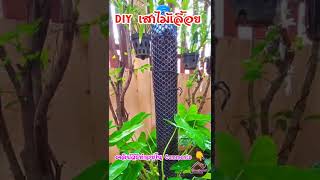 DIY เสาไม้เลื้อย | @เกษตรอินเฮาส์