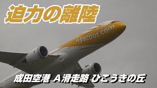 【4K】成田空港 ひこうきの丘 16運用 迫力の離陸７連発