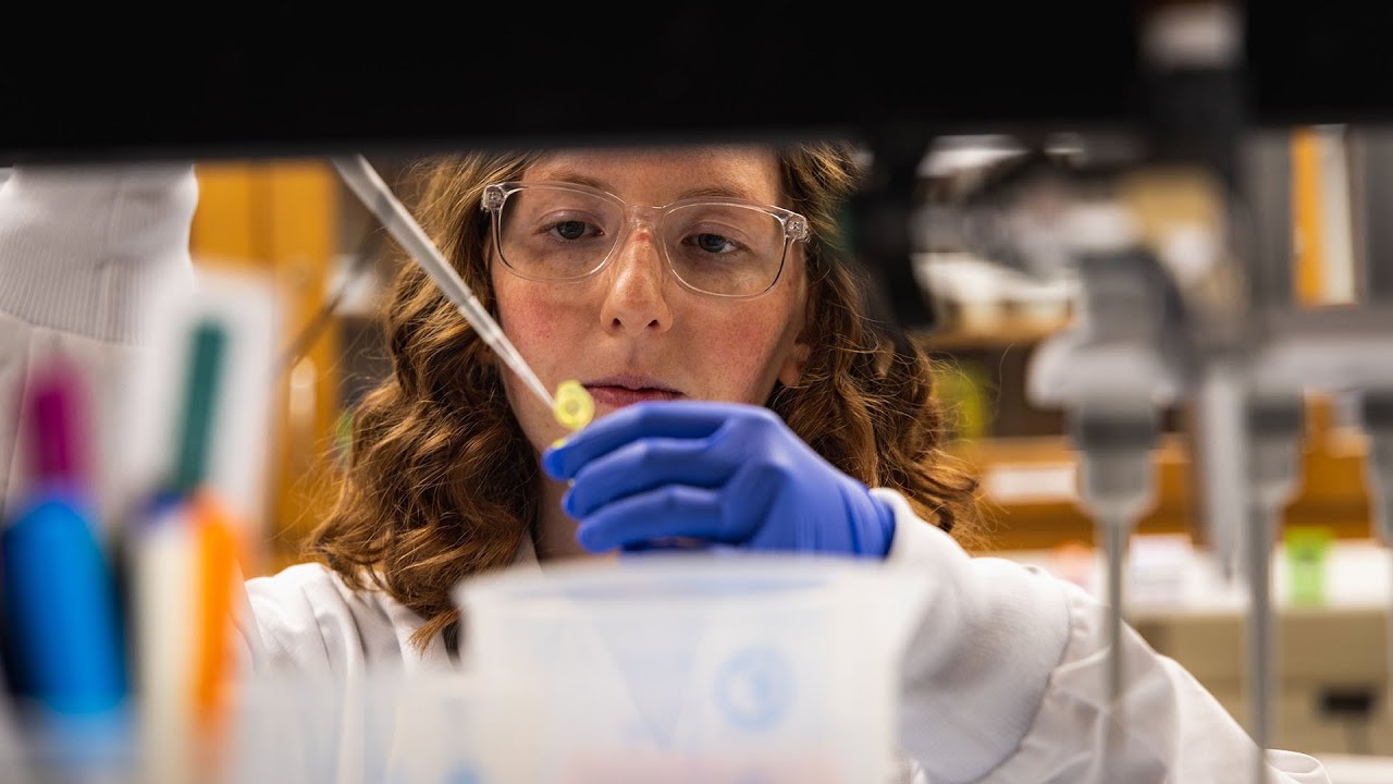 Researchers Make A New Discovery In The Regulation Of Ptsd In The