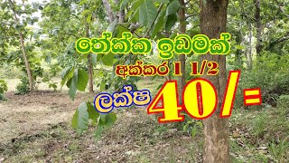 තේක්ක ඉඩමක් අක්කර 1 1/2 ම ලක්ෂ 40/= පමණයි