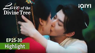 After getting together, 😘sweeter and sweeter|😘  ☂️Love of the Divine Tree | iQIYI Philippines