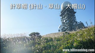 針草帽 (針山、草山、大帽山) (麥理浩徑第七、八段) | Neddle Hill, Grassy Hill, Tai Mo Shan | Hong Kong Hiking Vlog #37