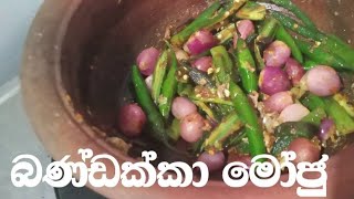 බණ්ඩක්කා මෝජු හදමු|Lady's fingers moju recipes|srilankan currys