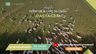 Desafios do uso da Terra - Pastagem (Coleção 7)