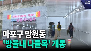 마포구, 망원동 주민 숙원 '방울내 나들목' 개통 [마포] 딜라이브 뉴스