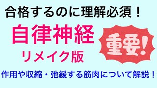 【10分で解説・8分で国試問題】自律神経について解説