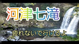 【女一人旅】河津七滝ひとつだけ見てきました！