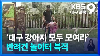 ‘대구 강아지 모두 모여라’…반려견 놀이터 북적 / KBS  2024.05.25.