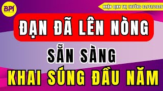 VOS, VTO,... ĐIỀU GÌ SẮP BÙNG NỔ ??? | NHẬN ĐỊNH THỊ TRƯỜNG | BPI - ĐẦU TƯ THÔNG MINH