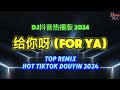 给你呀 For Ya (DJ抖音热播版 2024) x 5:20AM x 如果可以 x 我们 x 海誓山盟 || Mixtape Remix Hot Tiktok Douyin 2024