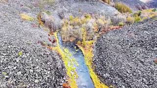 大峡谷，怪石嶙峋，飞瀑跌落，山峰陡峭，松树茂密矗立，奇景众多