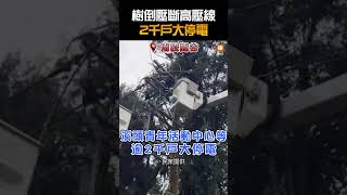 【生活】樹倒壓斷高壓線 2千戶大停電