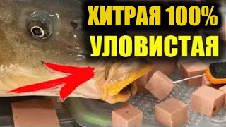 Самая ХИТРАЯ снасть - 100% выловит всю рыбу!