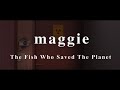 maggie trailer iffr 2019