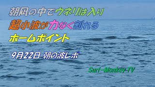 朝凪の中で右にはウネリが入りリバーマウス沖には超小波が割れるホームポイント 210922 朝 ~サーフモンキーTV