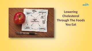 Lowering Cholesterol Through The Foods You Eat  |  Foods That Lower Cholesterol