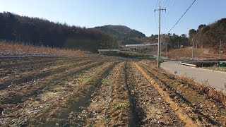 ☆현장매물 브리핑☆물번1203-소사 강원도 횡성 2차선 지방도변 넓고 저렴한 귀농농지 9476m2(상담 033 345 9222)