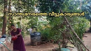 വൈകുനേരം കുടുംബവിശേഷം |village life style|malayalam vlog|