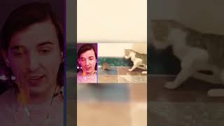 Mr Beast Funny Reaction Dont Laught funny cat #shorts #mrbeast #funnymoments