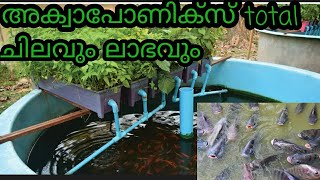 Aquaponics ലാഭകരമോ? || Aquaponics Full Setting Video Malayalam || എത്ര ചെലവ് വരും.