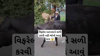 વિફરેલ આખલાને સળી કરવી નહી જોવો આવું થાય 😱#trending #viral #Reels #funny