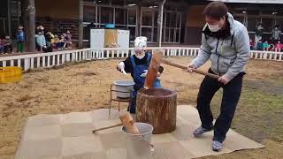 【若竹保育園】20230123餅つきの日