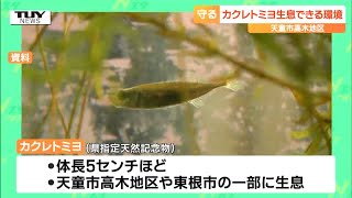 県の天然記念物「カクレトミヨ」から子どもたちが環境を守る大切さを学ぶ　お手製の釣り竿で”天敵”の捕獲も（山形・天童市）