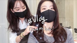 (Vlog) 톤다운 염색하러 가요🤍| 프렌치브라운 | 우아살롱 | 일상브이로그