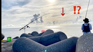 アレを打ち込んでフカセ釣りしてたら…【沖縄釣り　okinawa fishing】