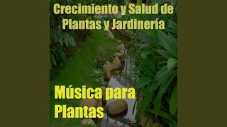 Música para Plantas, Vol. 6 (Crecimiento y Salud de Plantas y Jardinería)