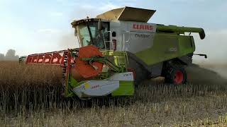 Žatva 2020 | 3x Claas Lexion 760 TT / 670  | New Holland | SPD Veselé