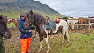 Island2017 Oddsstaðir