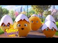 HUEVOS LINDO | Las Aventuras de Sunny Bunnies | Dibujos para niños